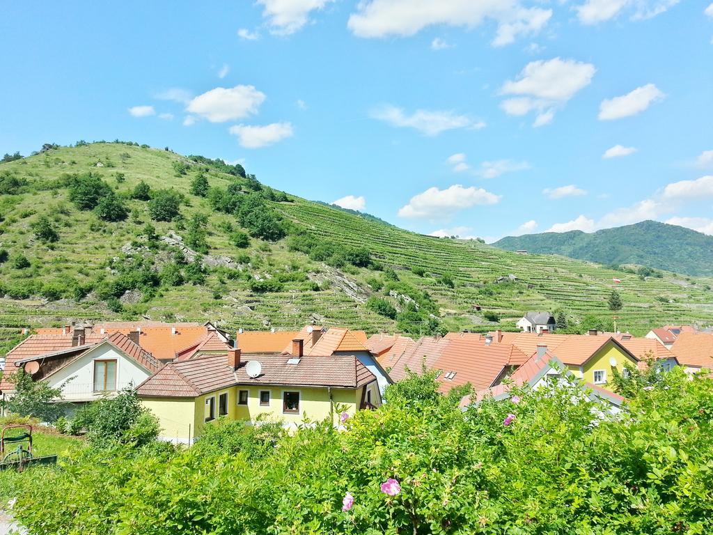 Gaestehaus Zur Schoenen Aussicht Spitz an der Donau Exterior photo